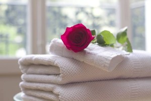 towels rose