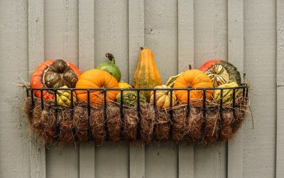 Why Detox in the Fall?