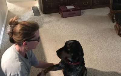 Attitude of Gratitude