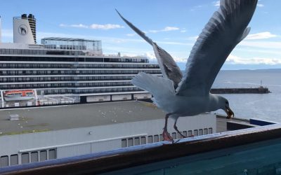 5 Tips on Returning from Vacation with Ease