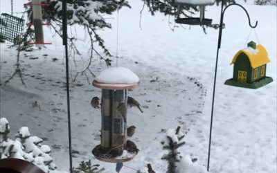 Bring Gratitude & Joy for Dinner