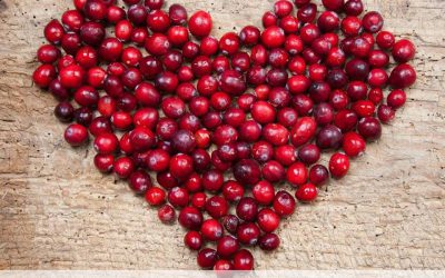 Cranberry Concentrate for a Simple Reboot